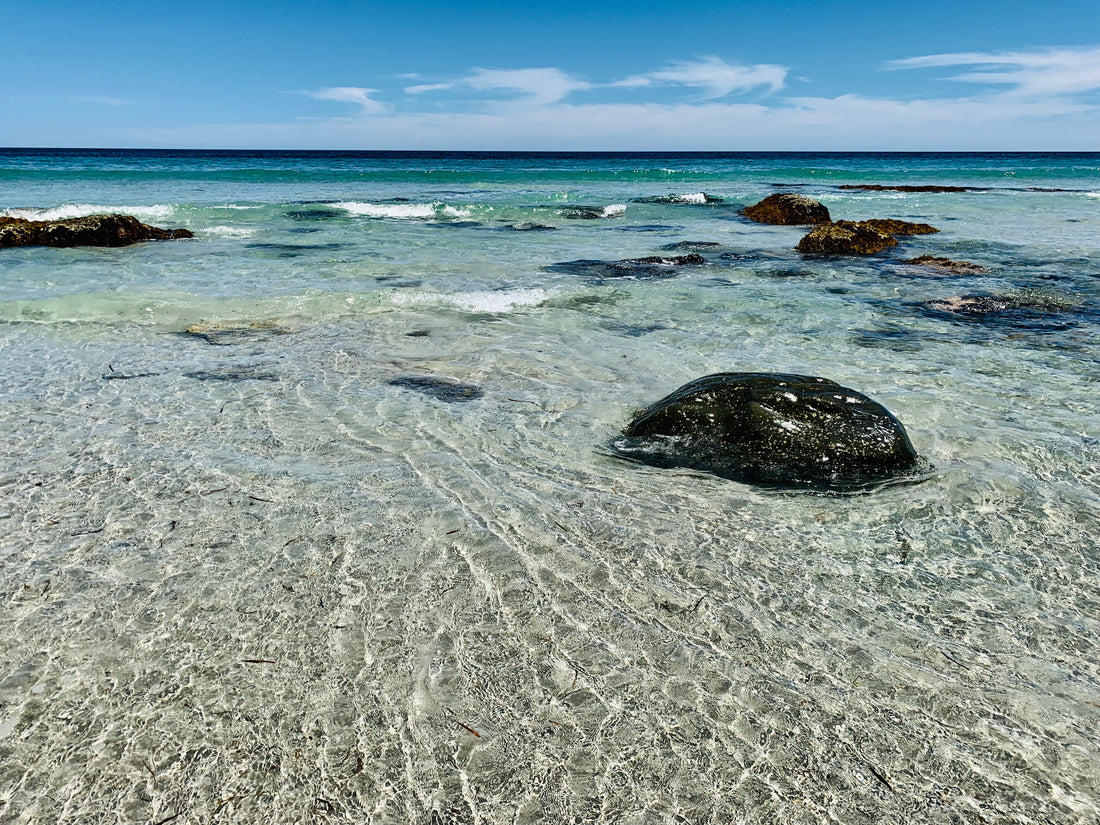 OrganiQ Kangaroo Island is Sustainable Beauty from The Source