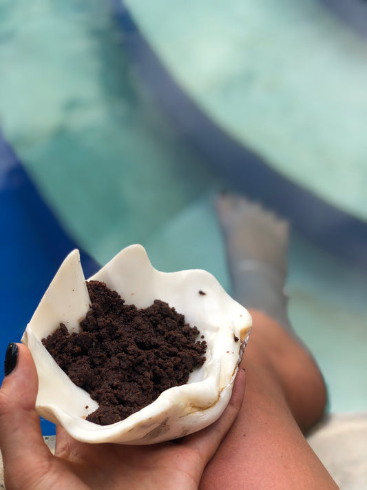 Healing in Bali with Cacao