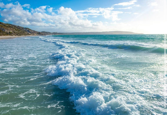 Our Ocean is our lifeline and we all play a part in her future.